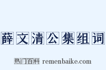 薛文清公集组词是什么意思的图片
